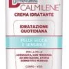DERMOVITAMINA CALMILENE 500 ML